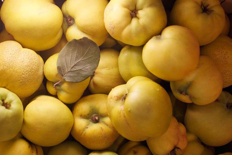 Quinces from our farm