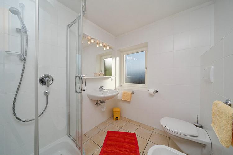 Daylight bathroom with shower