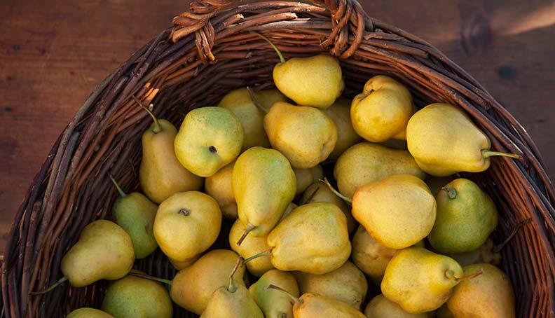 South Tyrolean pears